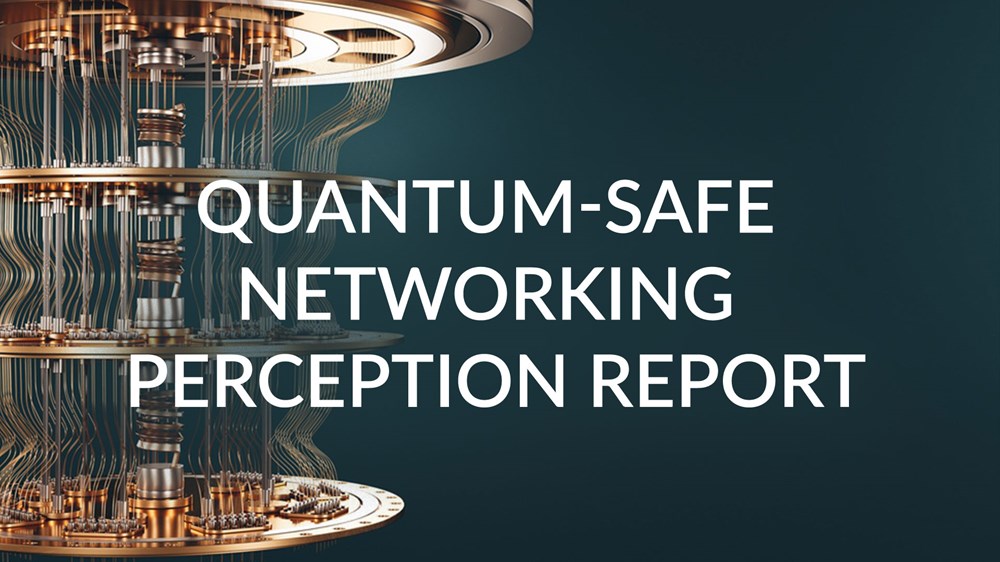 Quantum-Safe Networking Perception Report