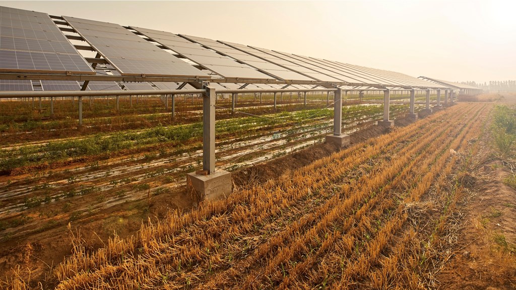 Technology is key to enabling Agriculture 4.0 - Vimarsana News