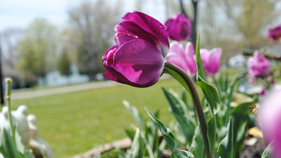 via Flickr © Missie (CC BY-ND 2.0) via Flickr © Missie (CC BY-ND 2.0)