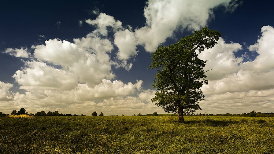 via Flickr © Richard Walker Photography (CC BY 2.0) via Flickr © Richard Walker Photography (CC BY 2.0)