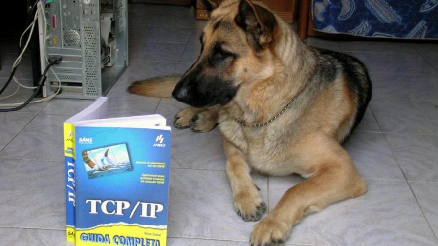 With TCP/IP, nobody knows you're a dog... © cc-licence/Arnaldo Zitti