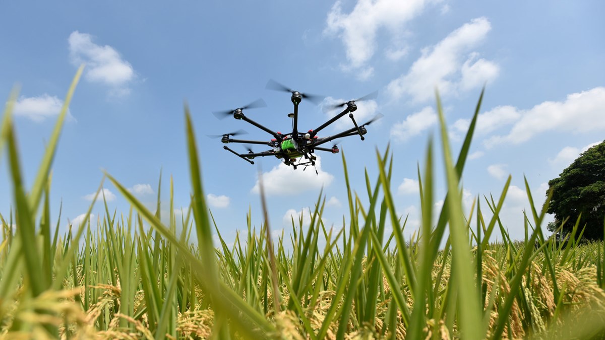 Drone usage in agricultural sector slow to take flight, IoT