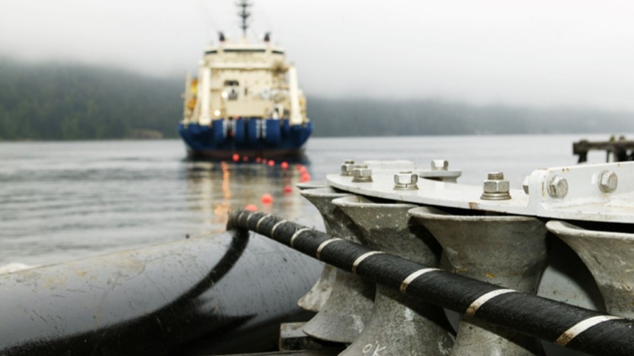 © Flickr/cc-licence/Ocean Networks Canada © Flickr/cc-licence/Ocean Networks Canada