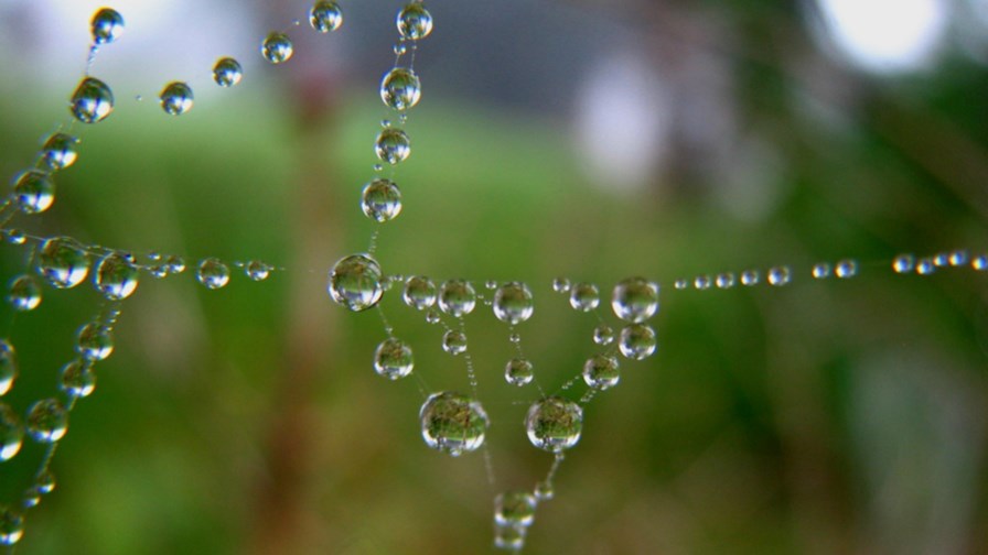 via Flickr © audreyjm529 (CC BY 2.0) via Flickr © audreyjm529 (CC BY 2.0)