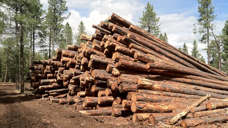 via Flickr © Coconino National Forest (CC BY-SA 2.0) via Flickr © Coconino National Forest (CC BY-SA 2.0)