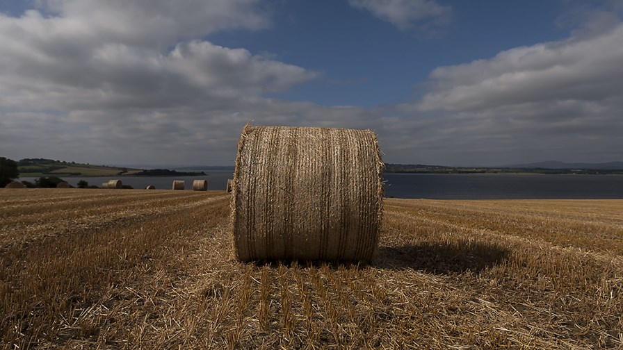 via Flickr © leppre (CC BY 2.0) via Flickr © leppre (CC BY 2.0)