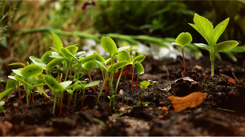 Orange and BT turn to start-ups & scale-ups for green inspiration - Vimarsana News