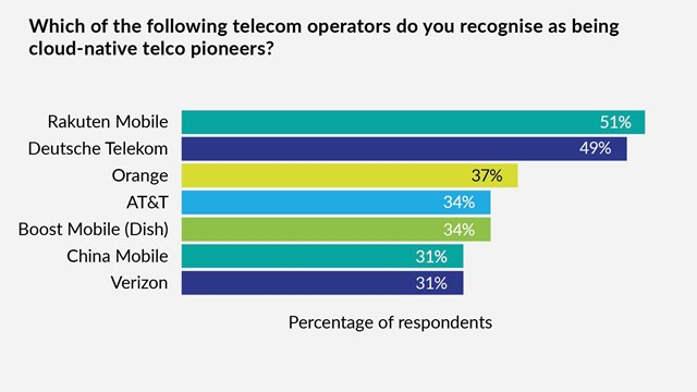 Source: DSP Leaders, Cloud-Native Telco Market Perception Report, May 2025