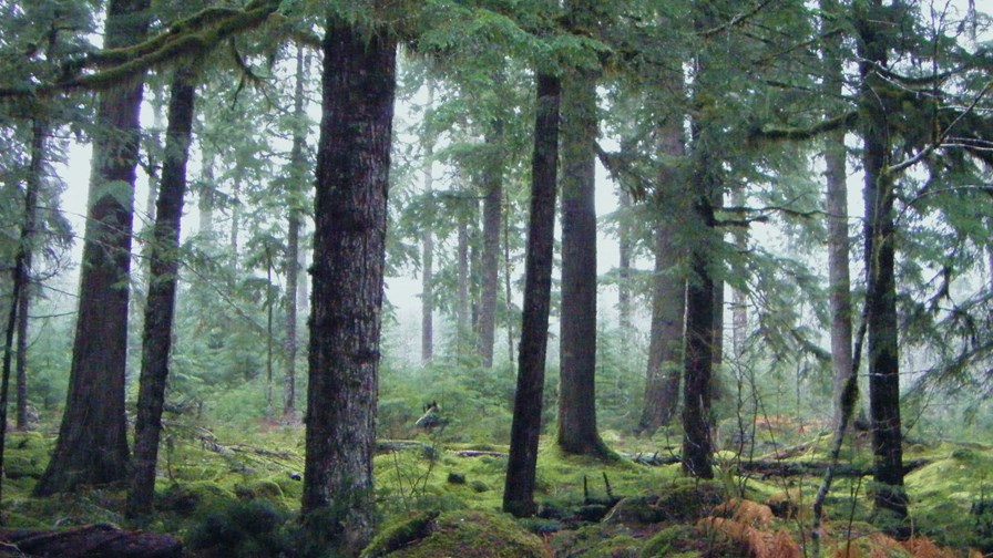 via Flickr © Sarah McDevitt (CC BY 2.0) via Flickr © Sarah McDevitt (CC BY 2.0)