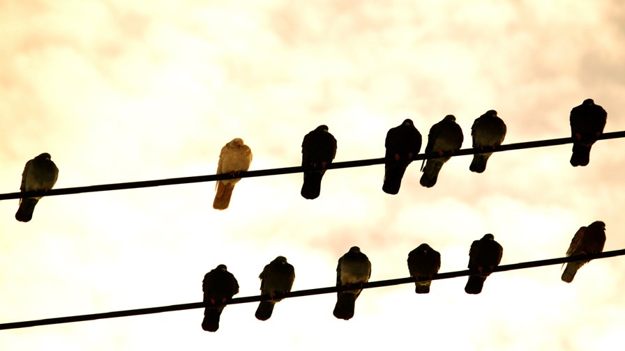 via Flickr © DavidSpinks (CC BY 2.0) via Flickr © DavidSpinks (CC BY 2.0)