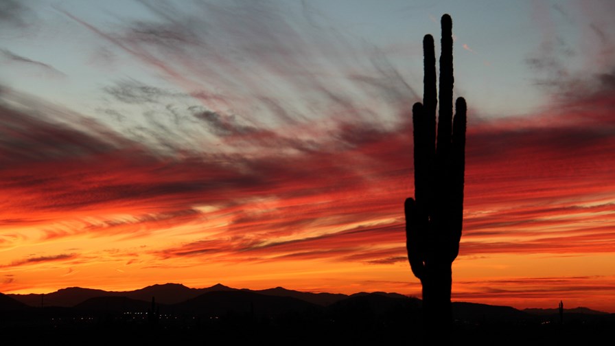 via Flickr © Photography Peter101 (CC BY 2.0) via Flickr © Photography Peter101 (CC BY 2.0)