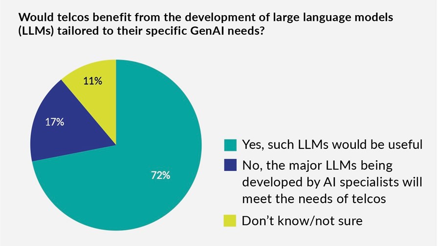 Source: DSP Leaders AI-Native Strategies report, December 2024 Source: DSP Leaders AI-Native Strategies report, December 2024