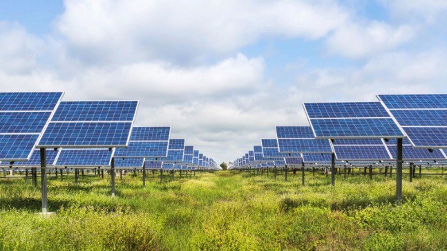 What's up with… Vodafone, SK Telecom, Switch, Sustainability - Vimarsana News