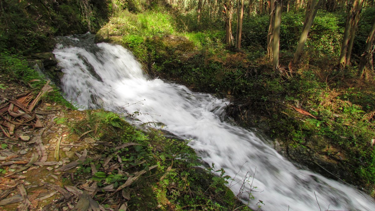 Video streaming alliance formed, minus two, Industry Associations