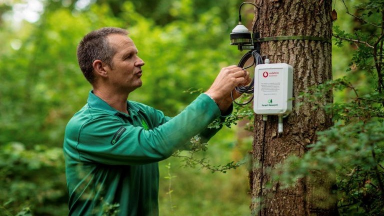 Dr Matthew Wilkinson, Climate Scientist at Forest Research, attaches a Vodafone IoT sensor to a tree in the Alice Holt Forest. Picture by Tom Dymond.