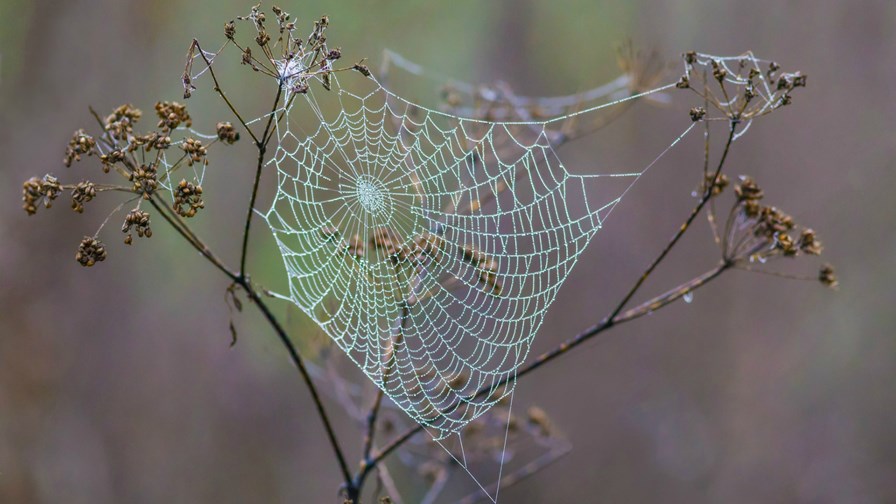 via Flickr © Allan Hack (CC BY-ND 2.0) via Flickr © Allan Hack (CC BY-ND 2.0)
